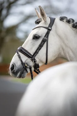 Classic Dressurtrense