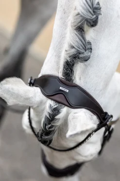 Classic Dressurtrense