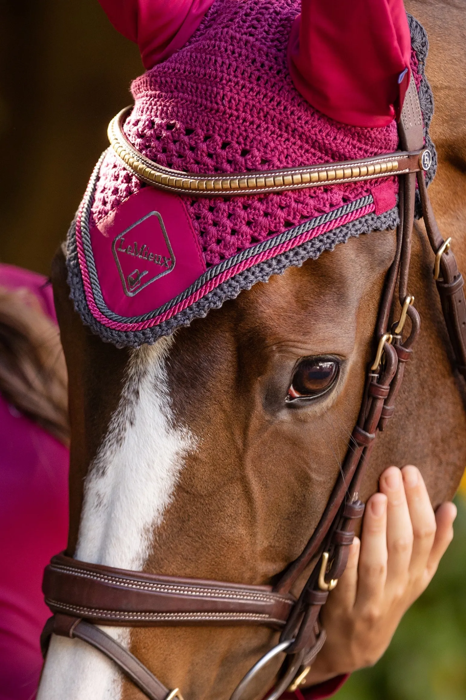 Classic Fliegenhaube