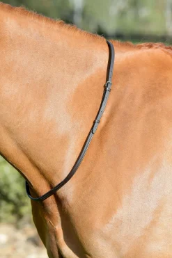 Classic Lederhalsriemen