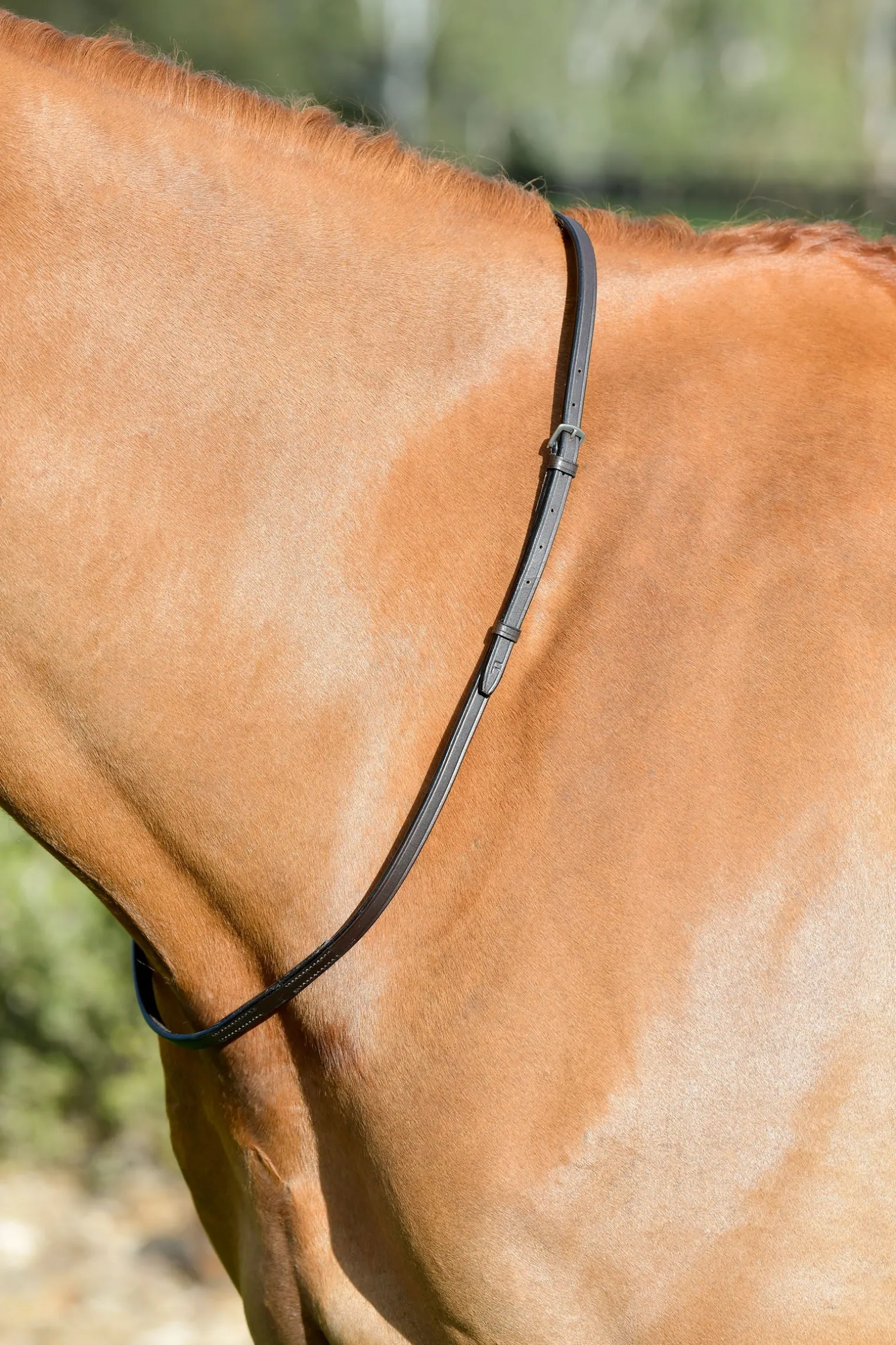 Classic Lederhalsriemen