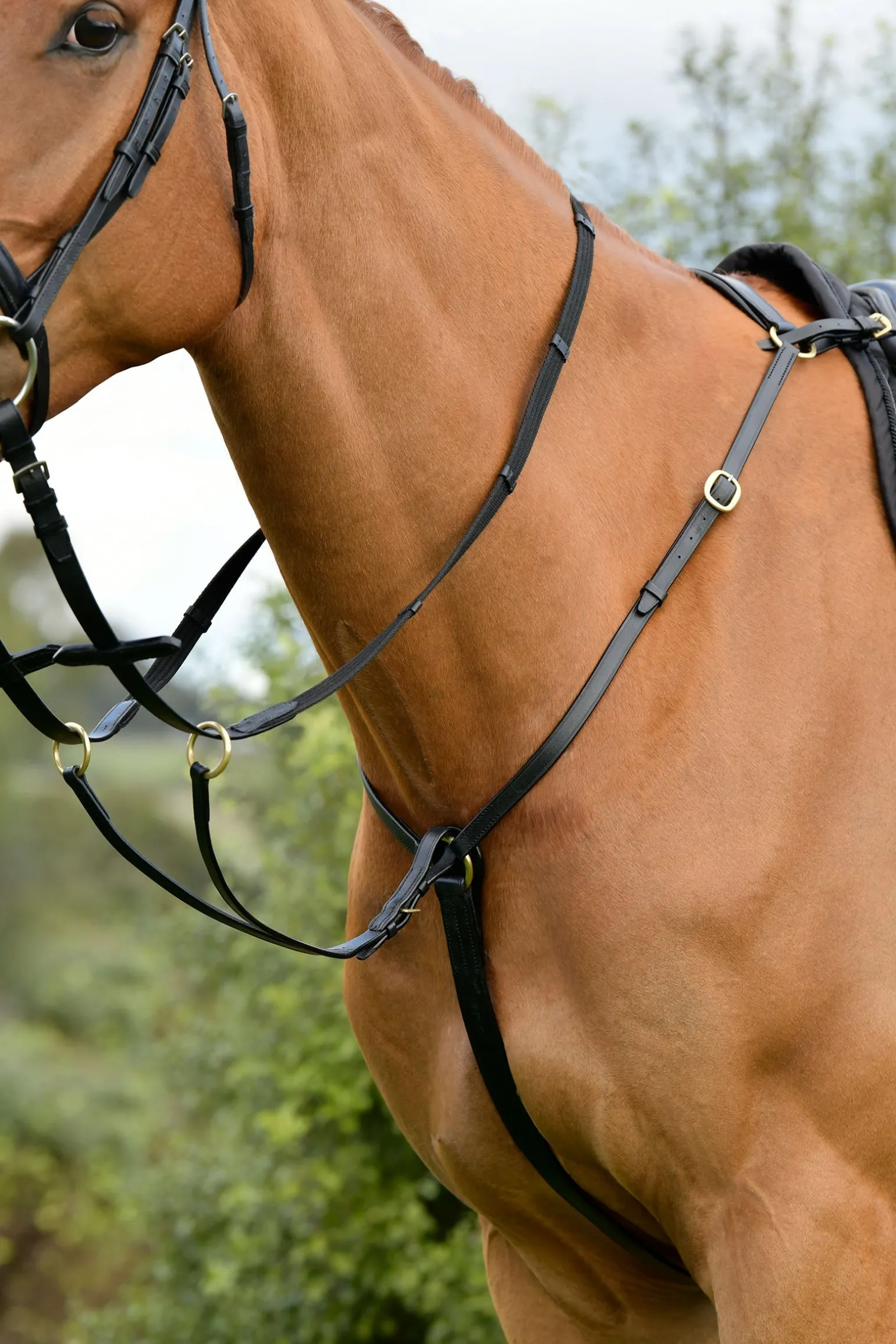 Classic 3-Punkt Vorderzeug mit laufendem Martingal