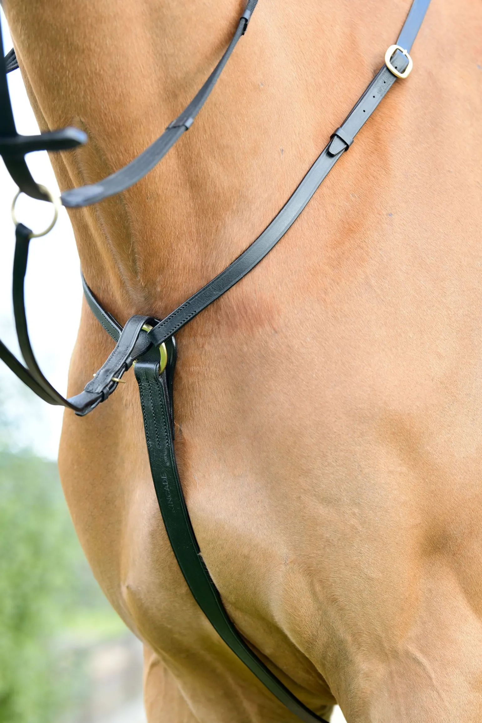 Classic 3-Punkt Vorderzeug mit laufendem Martingal