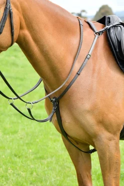 Classic 3-Punkt Vorderzeug mit laufendem Martingal