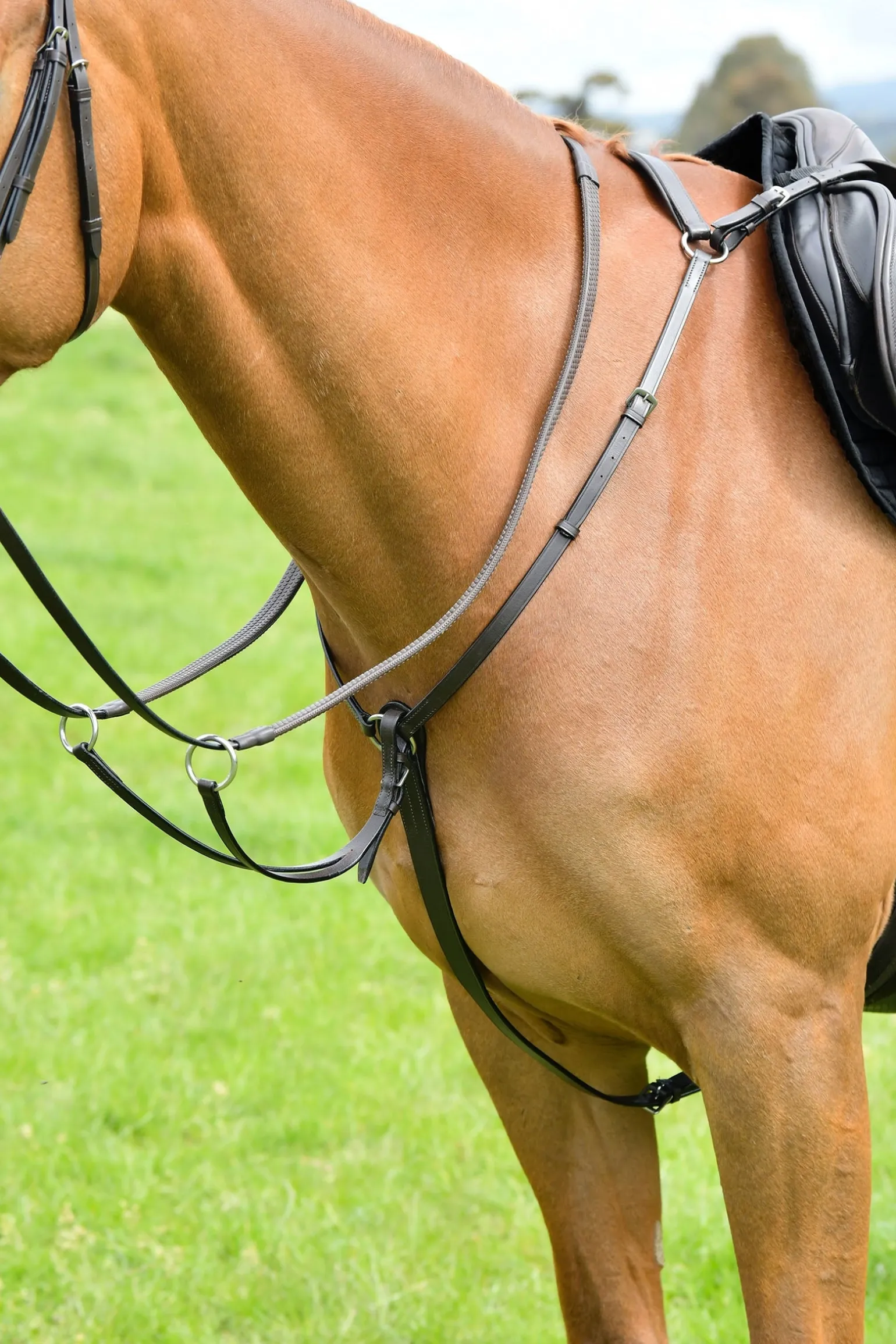 Classic 3-Punkt Vorderzeug mit laufendem Martingal