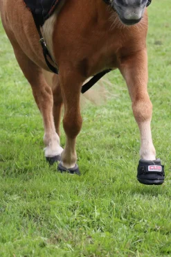 CLB Hufschuhe (regulär/Paar)
