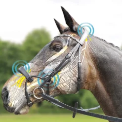 ComFiTec Anatomische Trense