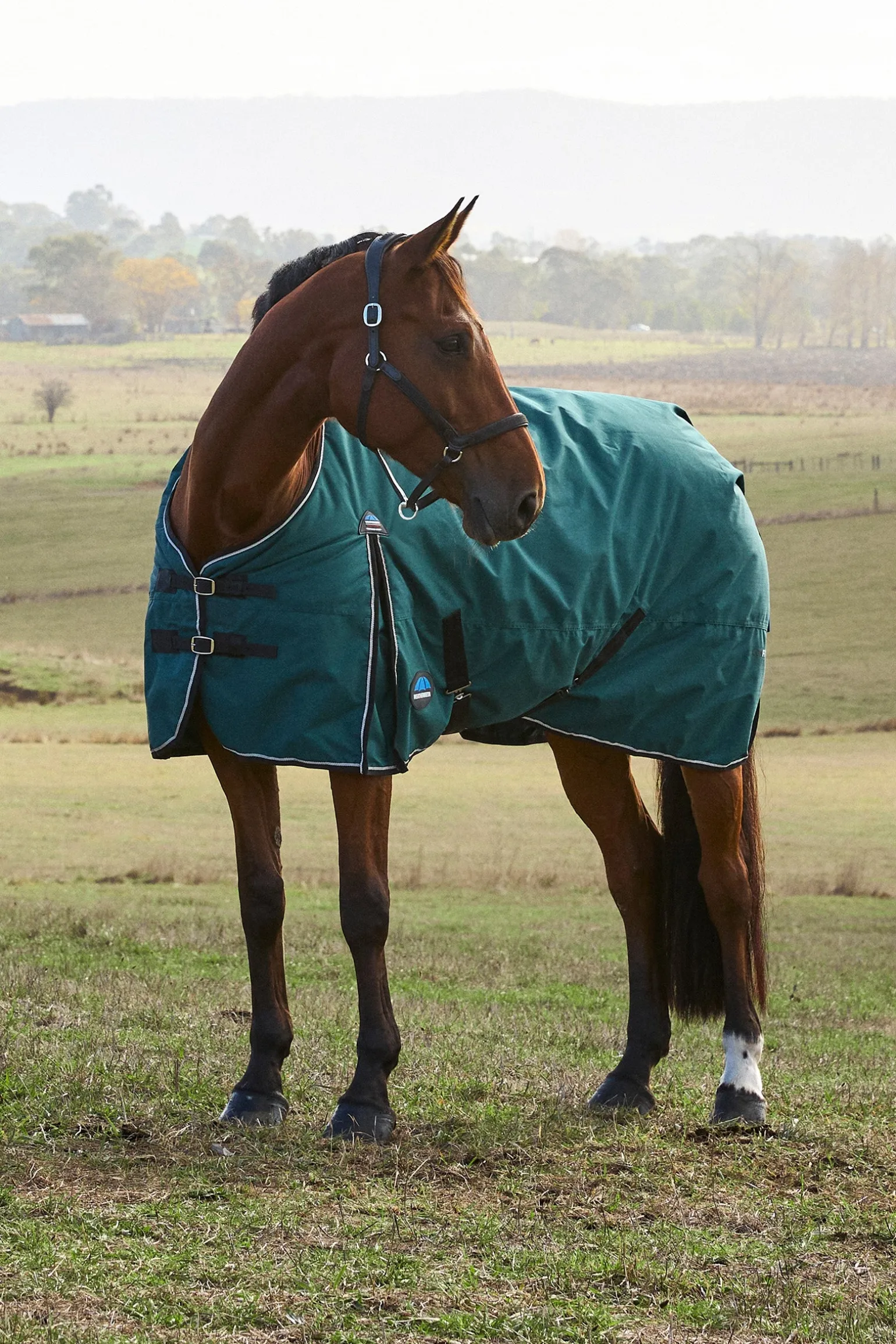 ComFiTec Classic Turnout Standard Neck 220G