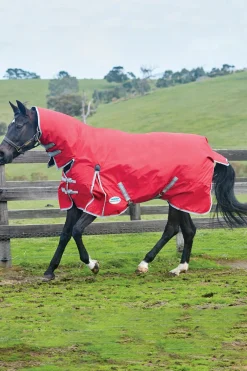 Comfitec Classic Weidedecke mit integriertem Halsteil, 50g