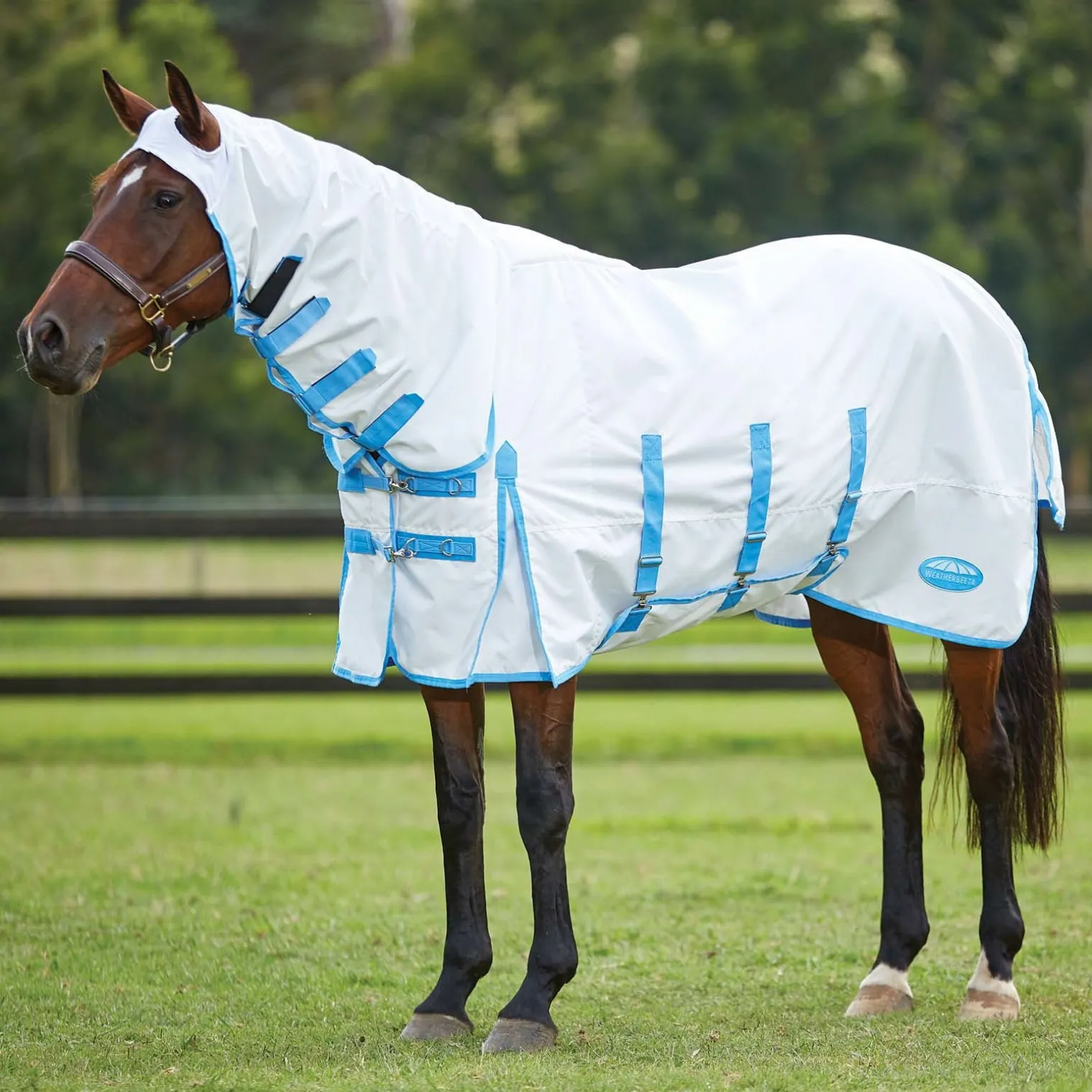 Comfitec Ekzemerdecke mit festem Halsteil