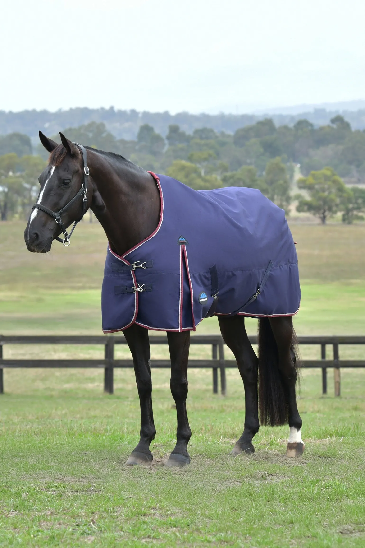 ComFiTec Essential Turnout Standard Neck 0G