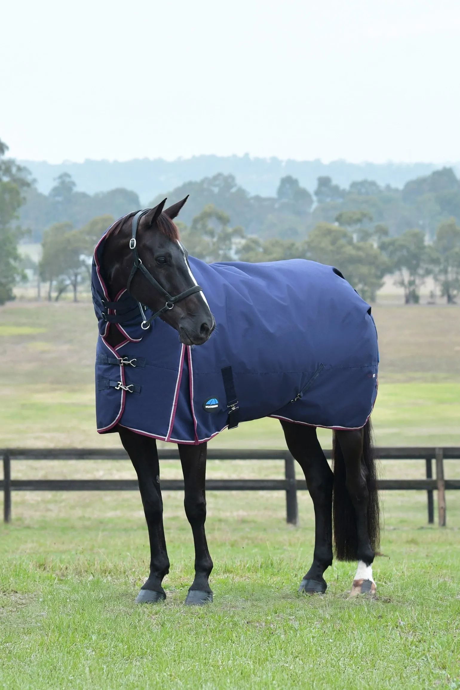 Comfitec Essential Weidedecke mit festem Halsteil, 220g