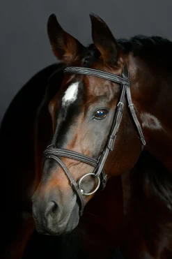 Comfitec Opulux Fancy Stitch gepolsterte hannoversche Trense