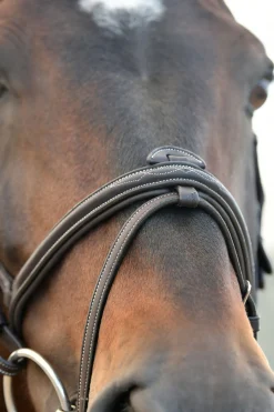 Comfitec Opulux Fancy Stitch gepolsterte hannoversche Trense