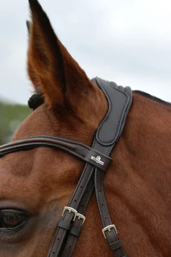 Comfitec Opulux schlichte gepolsterte Trense mit mexikanischem Reithalfter