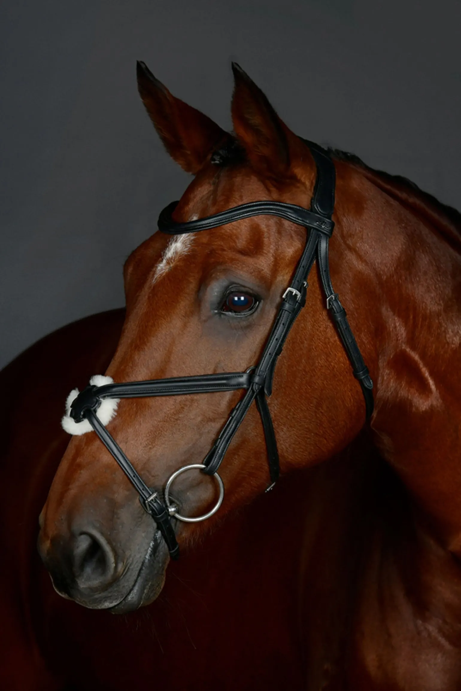 Comfitec Opulux schlichte gepolsterte Trense mit mexikanischem Reithalfter