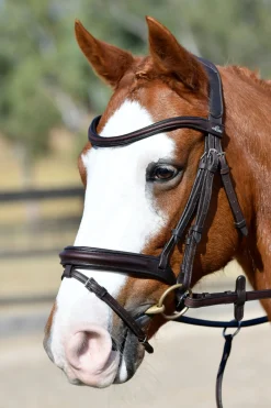 Comfitec Opulux schlichte, gepolsterte Trense mit kombiniertem hannoverschem Reithalfter