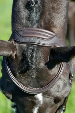 Comfitec Opulux schlichte, gepolsterte Trense mit kombiniertem hannoverschem Reithalfter