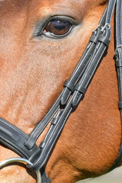 Comfitec Opulux schlichte, gepolsterte Trense mit kombiniertem hannoverschem Reithalfter