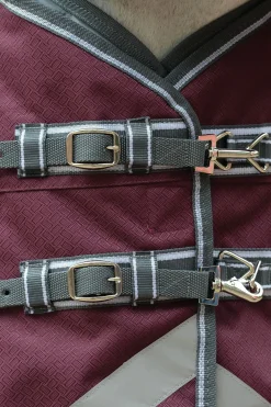 Comfitec Plus Dynamic II Weidedecke mit integriertem Halsteil, 220g