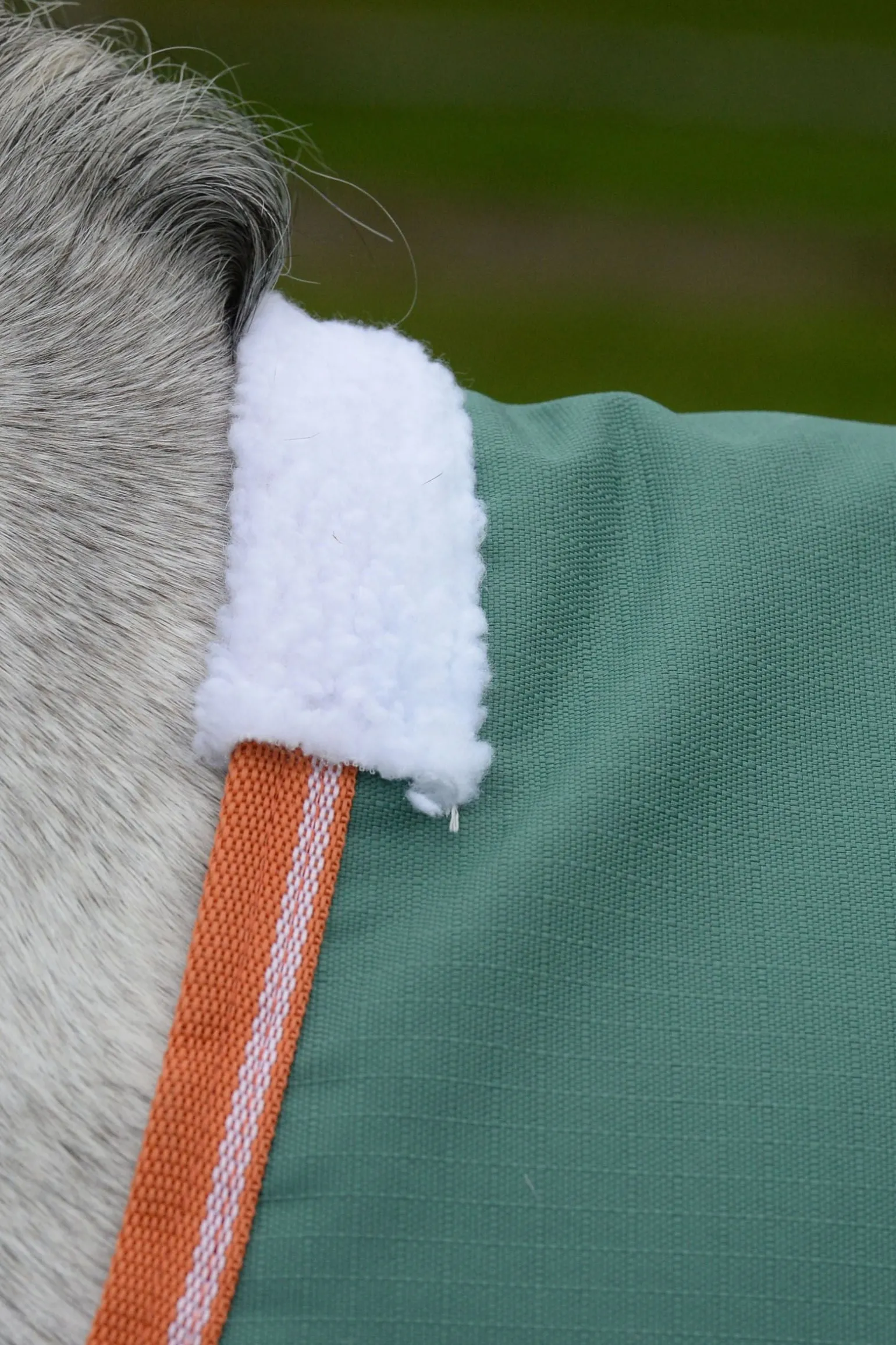 Comfitec Tyro mit Standard-Halsausschnitt Lite Plus, 50g