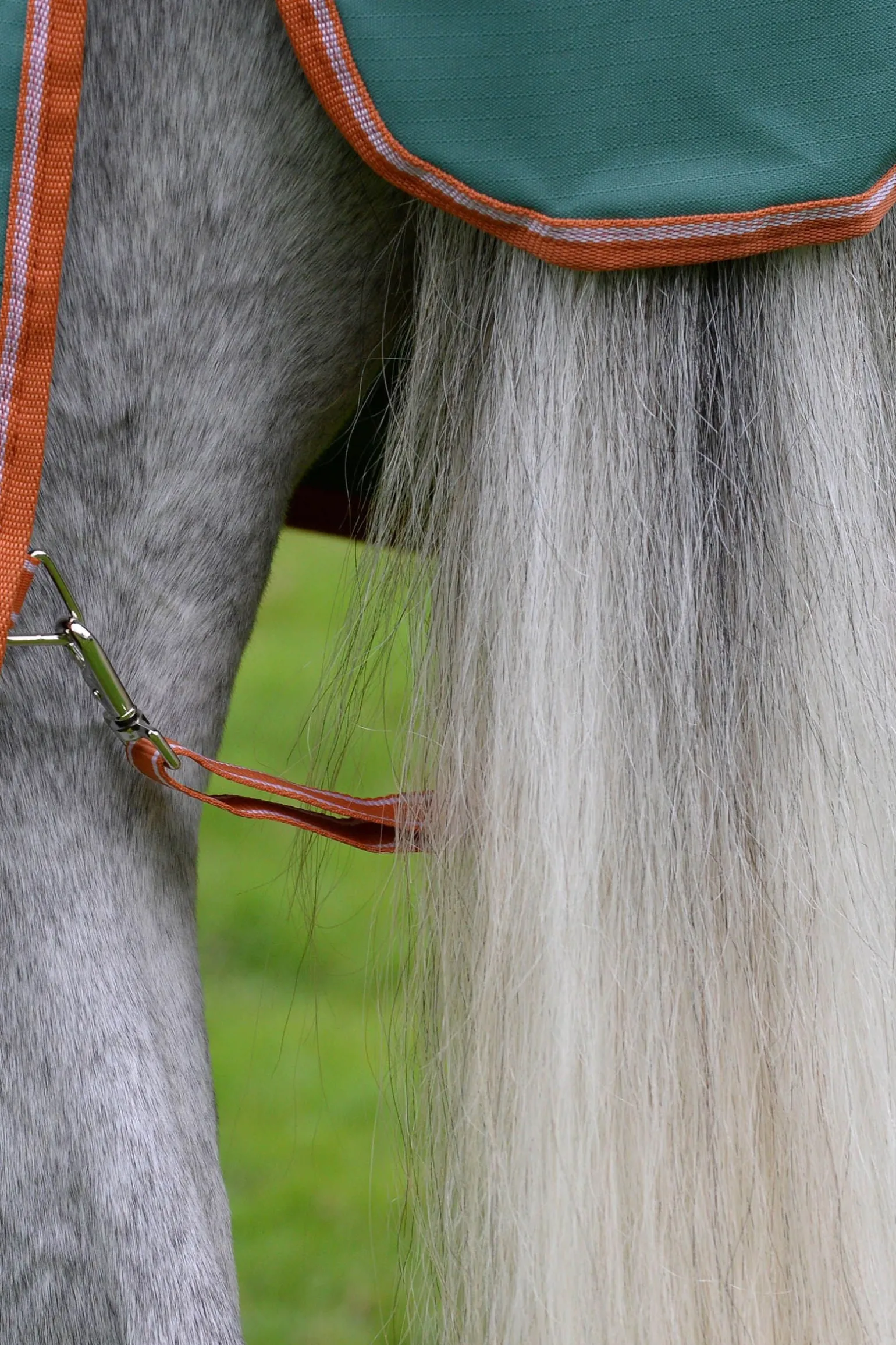 Comfitec Tyro mit Standard-Halsausschnitt Lite Plus, 50g