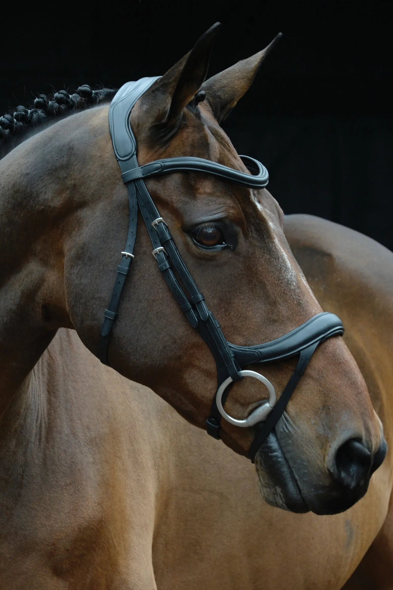 Comfitec Vogue anatomisch geformte Trense