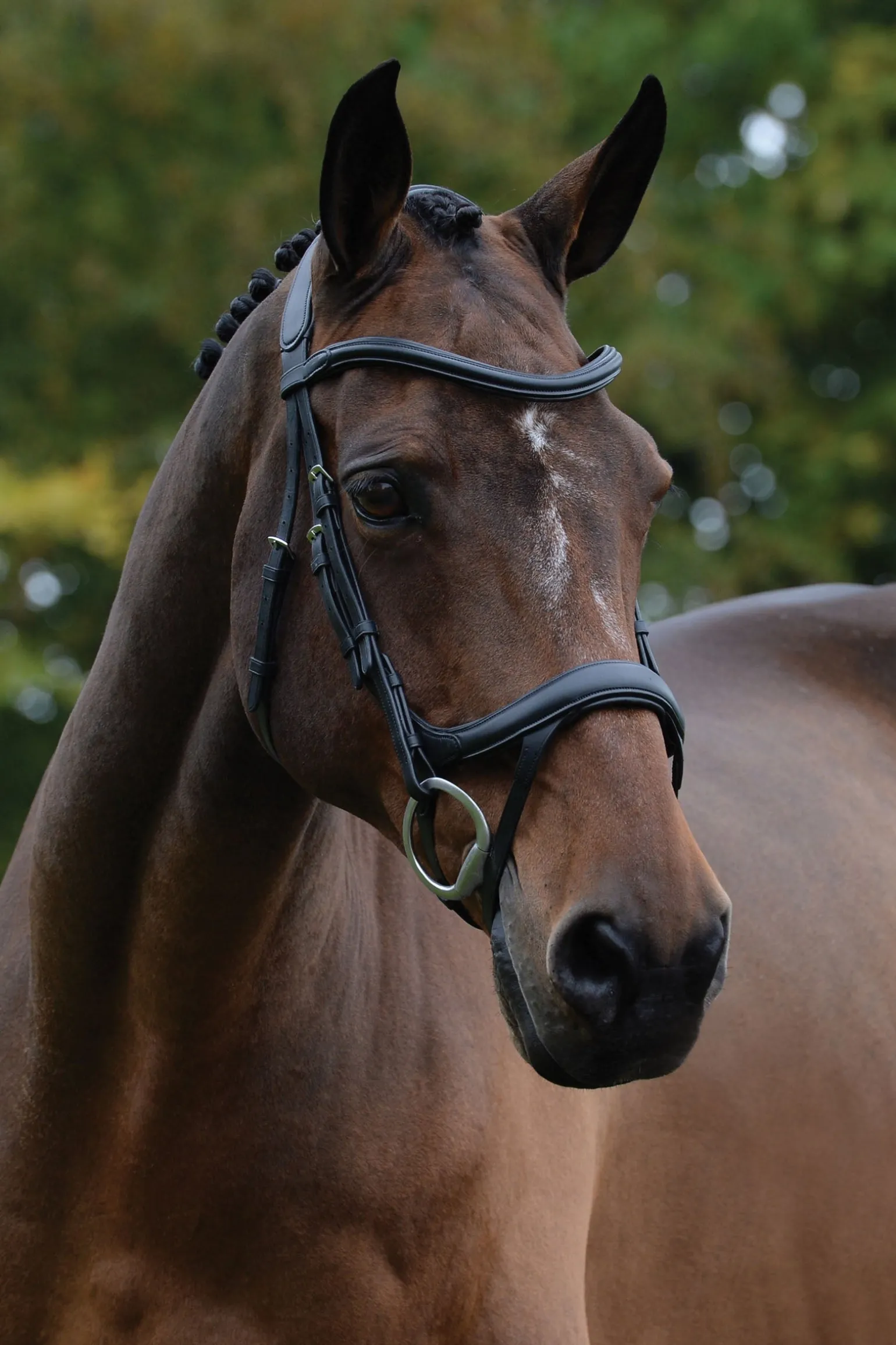 Comfitec Vogue anatomisch geformte Trense