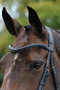 Comfitec Vogue anatomisch geformte Trense