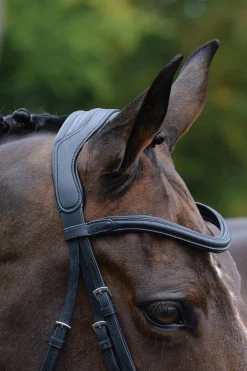 Comfitec Vogue anatomisch geformte Trense