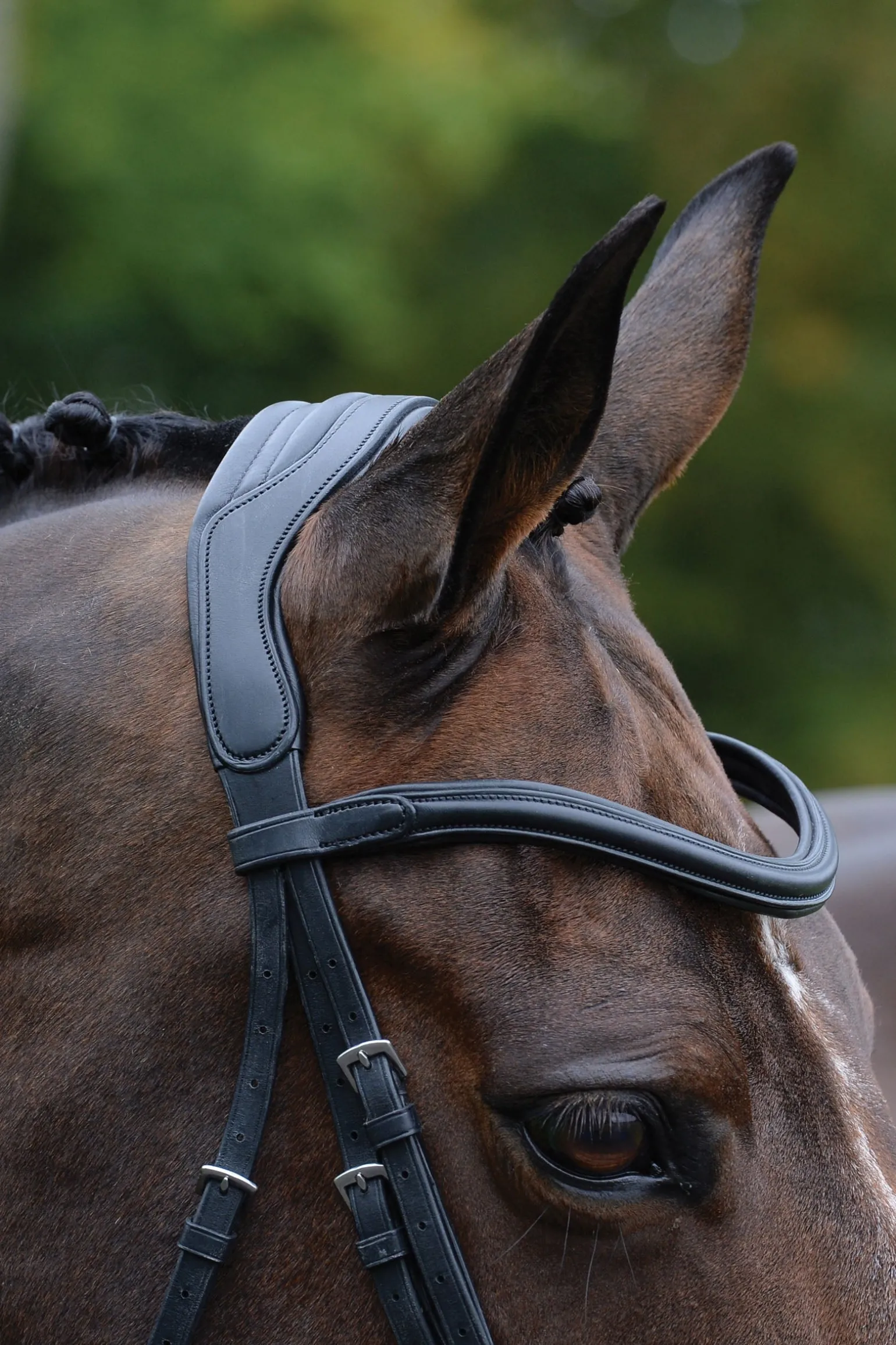 Comfitec Vogue anatomisch geformte Trense