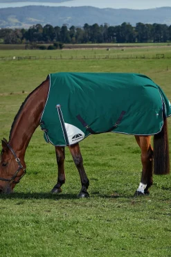 ComFiTecPlus Dynamic Turnout Standard Neck 0G