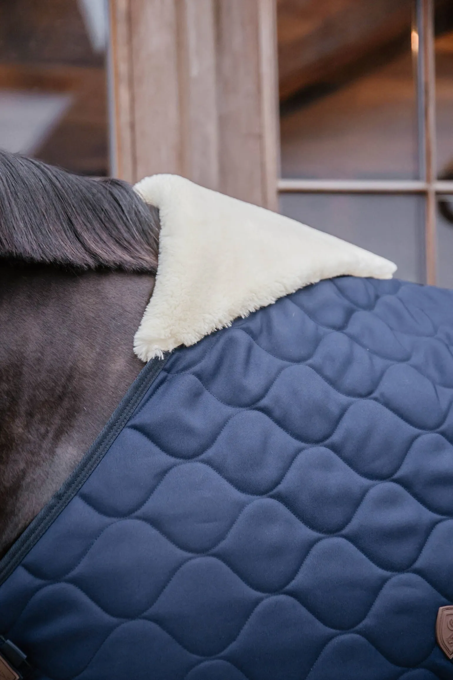 Comfort Stalldecke 100g