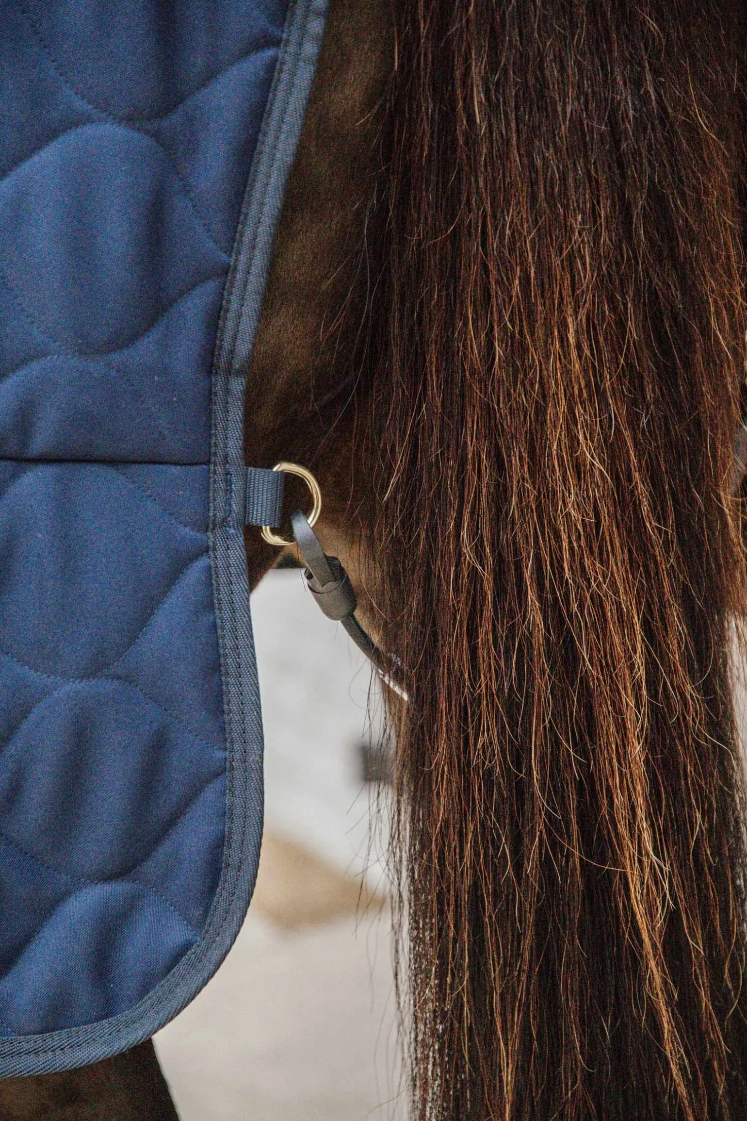 Comfort Stalldecke 100g