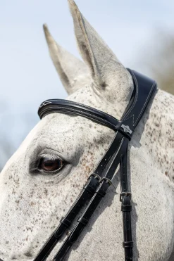 Competiton Trensenzaum