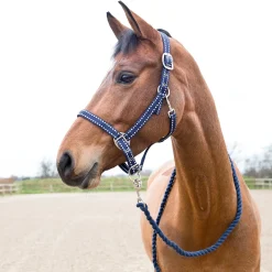 Cooper Halfter und Führstrick