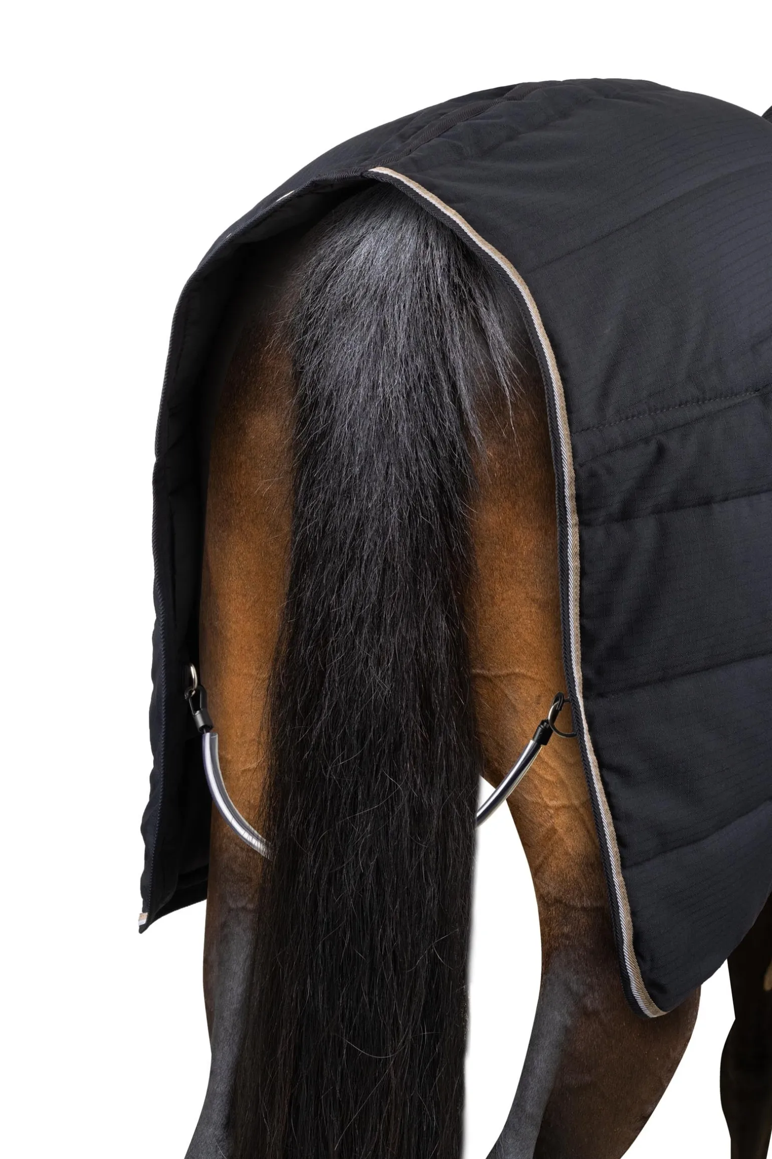 Corey Stalldecke, 250g