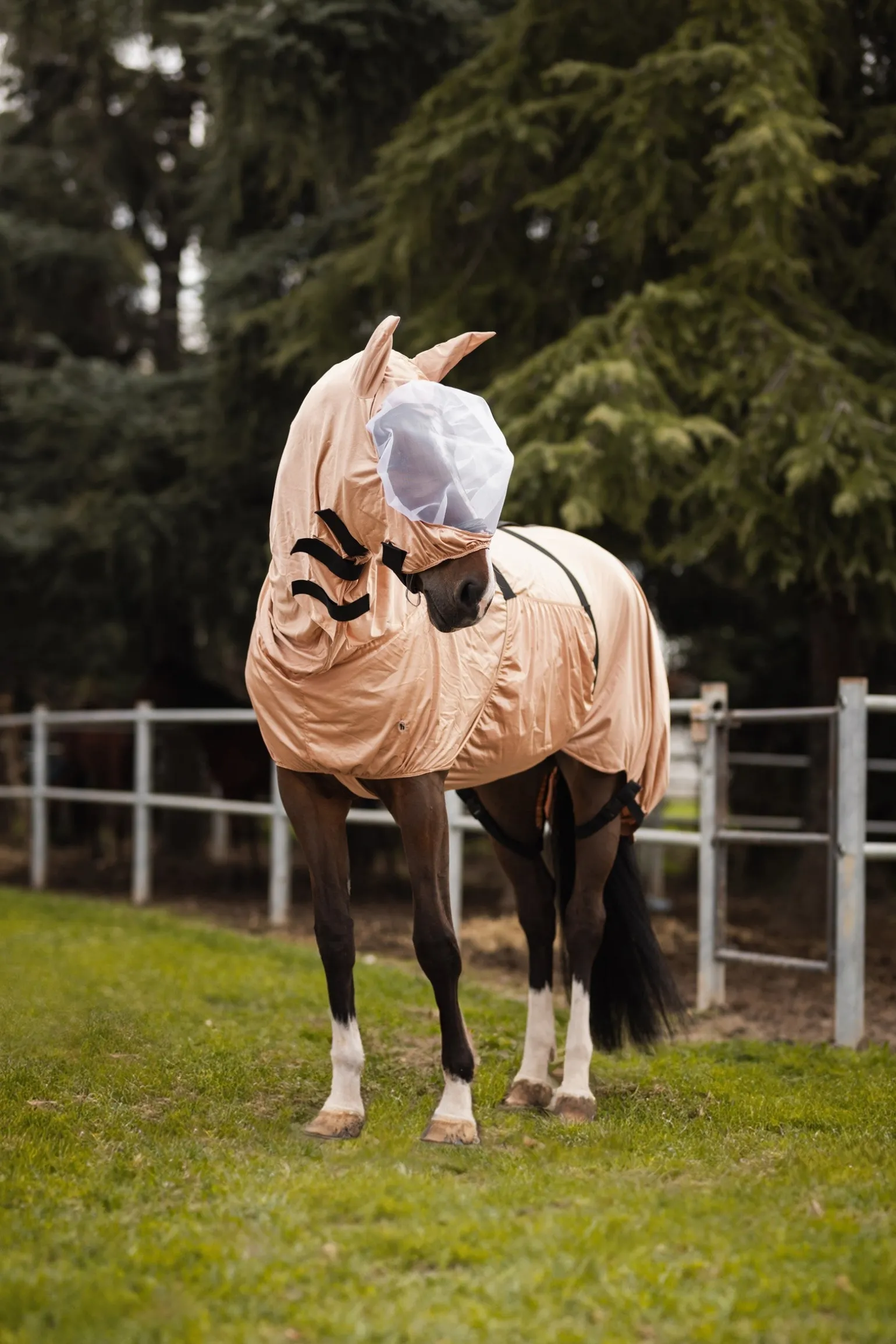 Cover UV-Schutz Ekzemerdecke mit festem Halsteil und Bauchlatz