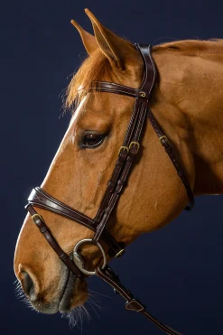 D Collection anatomische kombinierte Trense