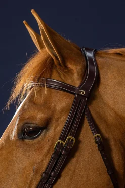 D Collection anatomische kombinierte Trense