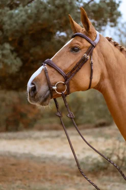 D Collection anatomische kombinierte Trense