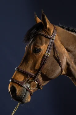 D Collection Trense mit Doppelnasenriemen