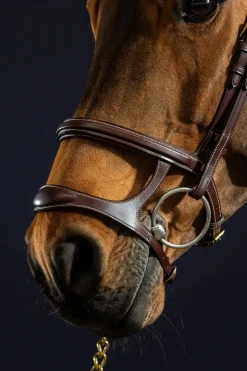 D Collection Trense mit Doppelnasenriemen