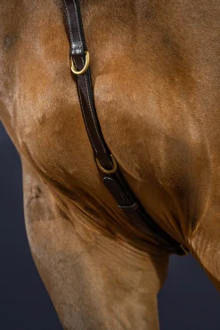 D Collection Vorderzeug mit Brücke