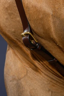 D Collection Vorderzeug mit langer Brücke