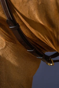 D Collection Y-Vorderzeug