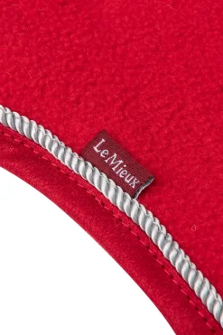 Decke für Spielzeugpony