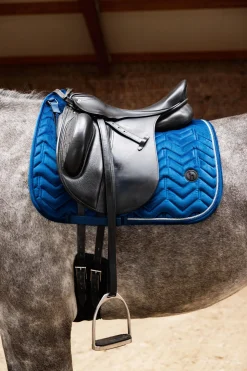 Delémont Dressur-Schabracke