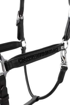 Delémont Lederhalfter