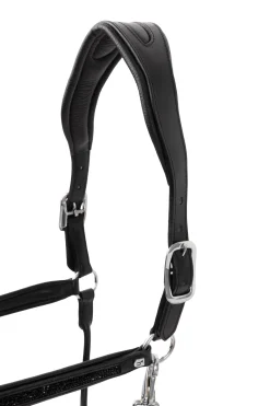 Delémont Lederhalfter